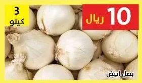 بصل ابيض