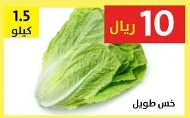 خس طويل
