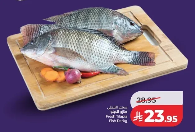 سمك البلطي
