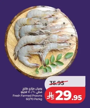 روبيان مزرعة