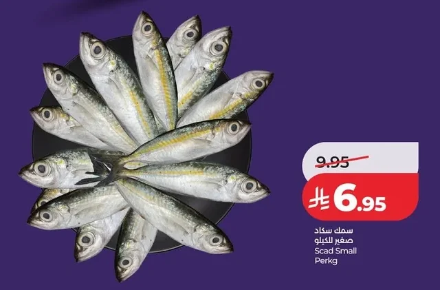 سمك سـكـاد