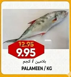 PALAMEEN