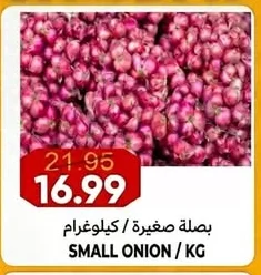 SMALL ONION