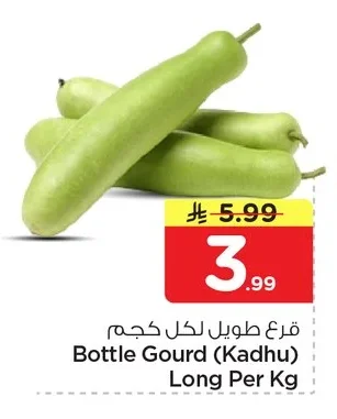 قرع طويل