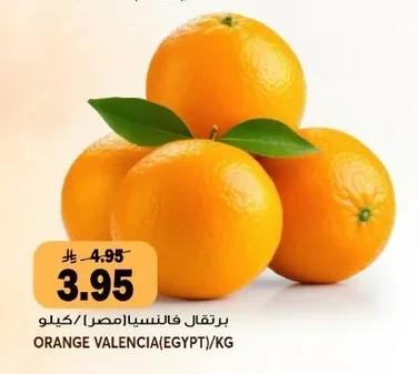 ORANGE VALENCIA(EGYPT)/KG