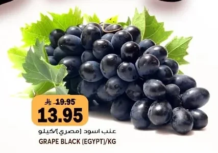 GRAPE BLACK (EGYPT)/KG