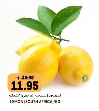 LEMON (SOUTH AFRICA)/KG