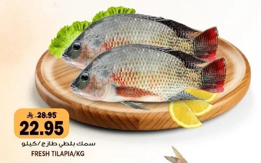 سمك بلطي طازج