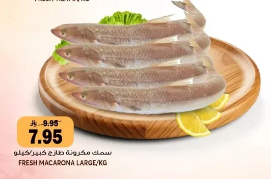 سمك مكرونة طازج