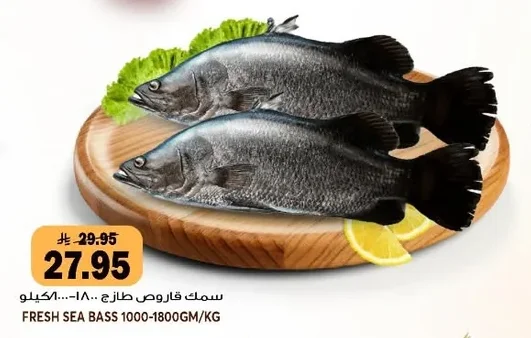 سمك قاروص طازج