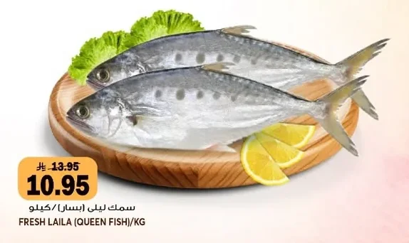 سمك ليلي (بسر)