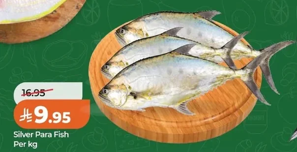 Silver Para Fish