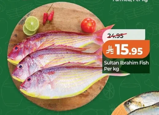 Sultan Ibrahim Fish