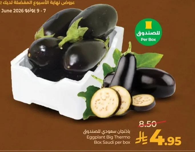 Eggplant Big Thermo