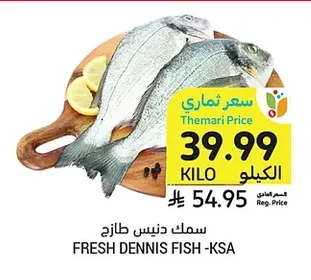 FRESH DENNIS FISH -KSA