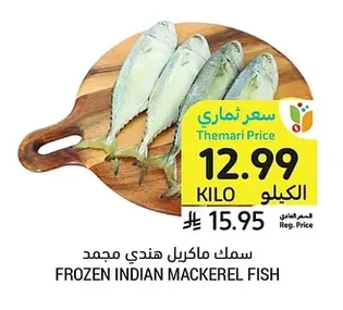 FROZEN INDIAN MACKEREL FISH