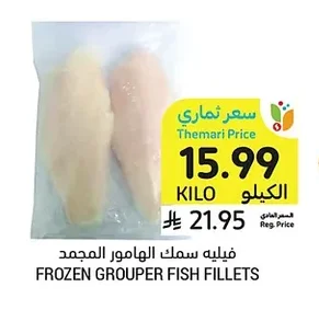 FROZEN GROUPER FISH FILLETS