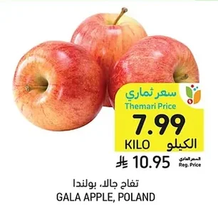 GALA APPLE