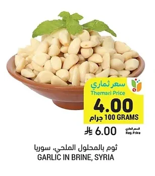GARLIC IN BRINE, SYRIA