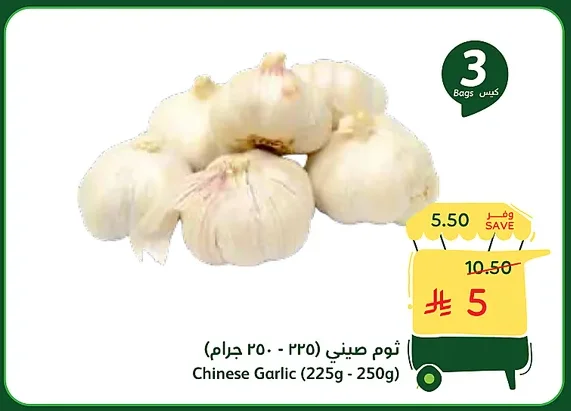 Chinese Garlic