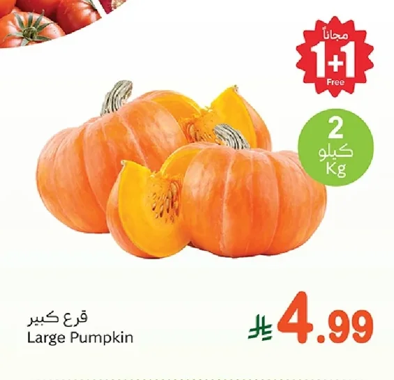 Large Pumpkin