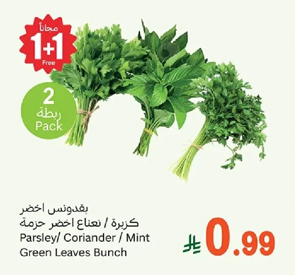 Parsley/ Coriander / Mint Green Leaves Bunch