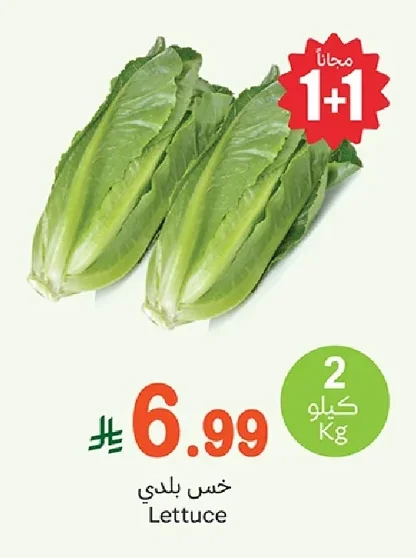 Lettuce