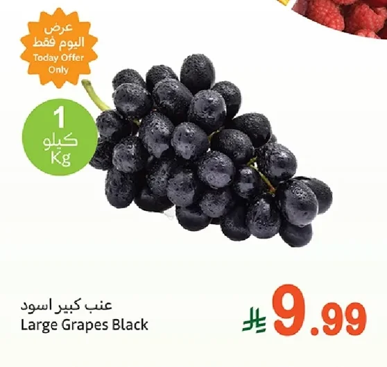 Large Grapes Black