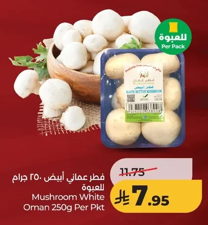 فطر عماني أبيض