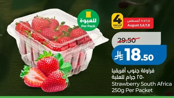 فراولة جنوب افريقيا