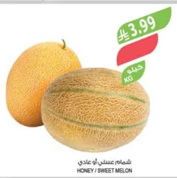 شمام عسلي أو عادي