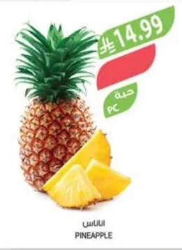 PINEAPPLE