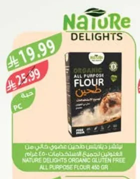 Nature Delights Organic Gluten-Free All Purpose Flour