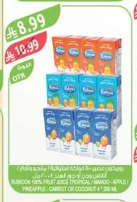 Rubicon Juice 8 Tropical Fruits / Mango Apple / Pineapple Carrot or Coconut