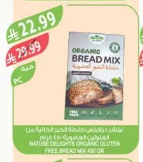 NATURE DELIGHTS ORGANIC GLUTEN-FREE INK BREAD MIX 450G