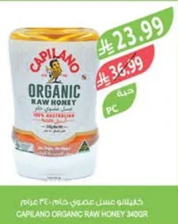 ORGANIC RAW HONEY