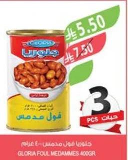 جلوريا فول مدمس