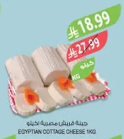EGYPTIAN COTTAGE CHEESE
