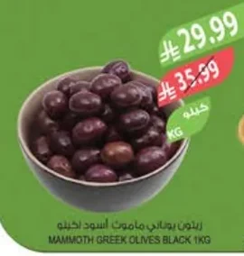 MAMMOTH GREEK OLIVES BLACK