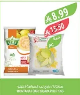 مونتانا / داري لب المانجو