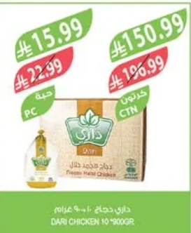 داري دجاج