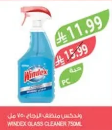 Windex Glass Cleaner