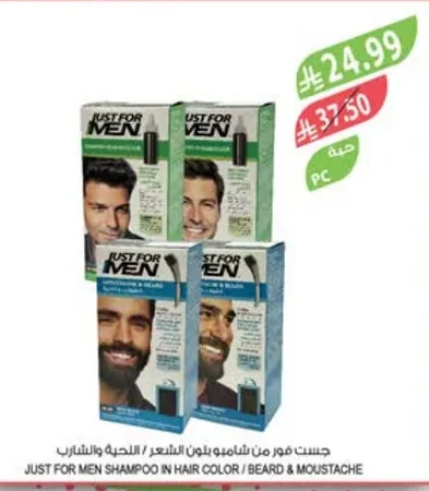 Just For Men Shampoo for Hair / Beard & Mustache