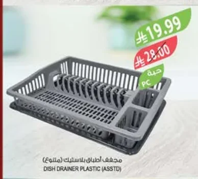 DISH DRAINER PLASTIC (ASSTD)