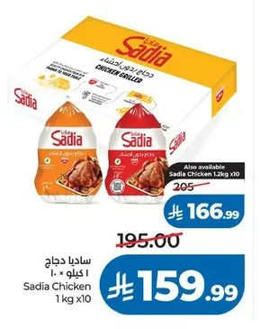 ساديا دجاج