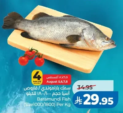سمك باراموندي / قــاروص آسيا حجم ١٨٠٠/١٠٠٠ للكيلو