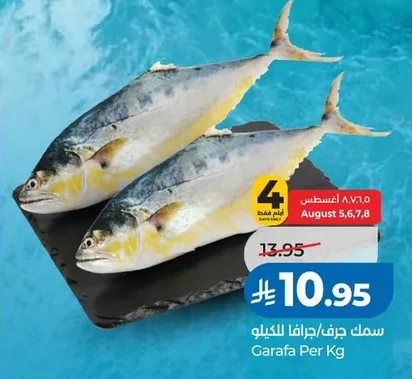 سمك جرف/جرافا للكيلو