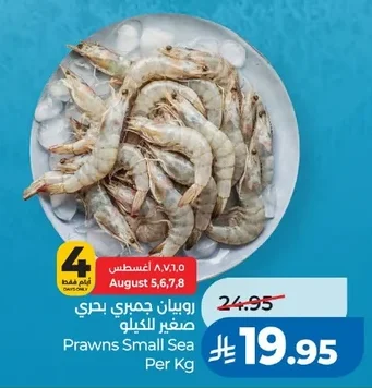 روبيان جمبري بحري صغير للكيلو