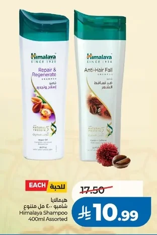 Shampoo