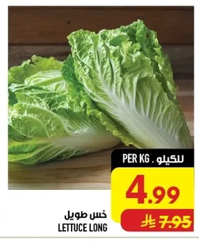 LETTUCE LONG